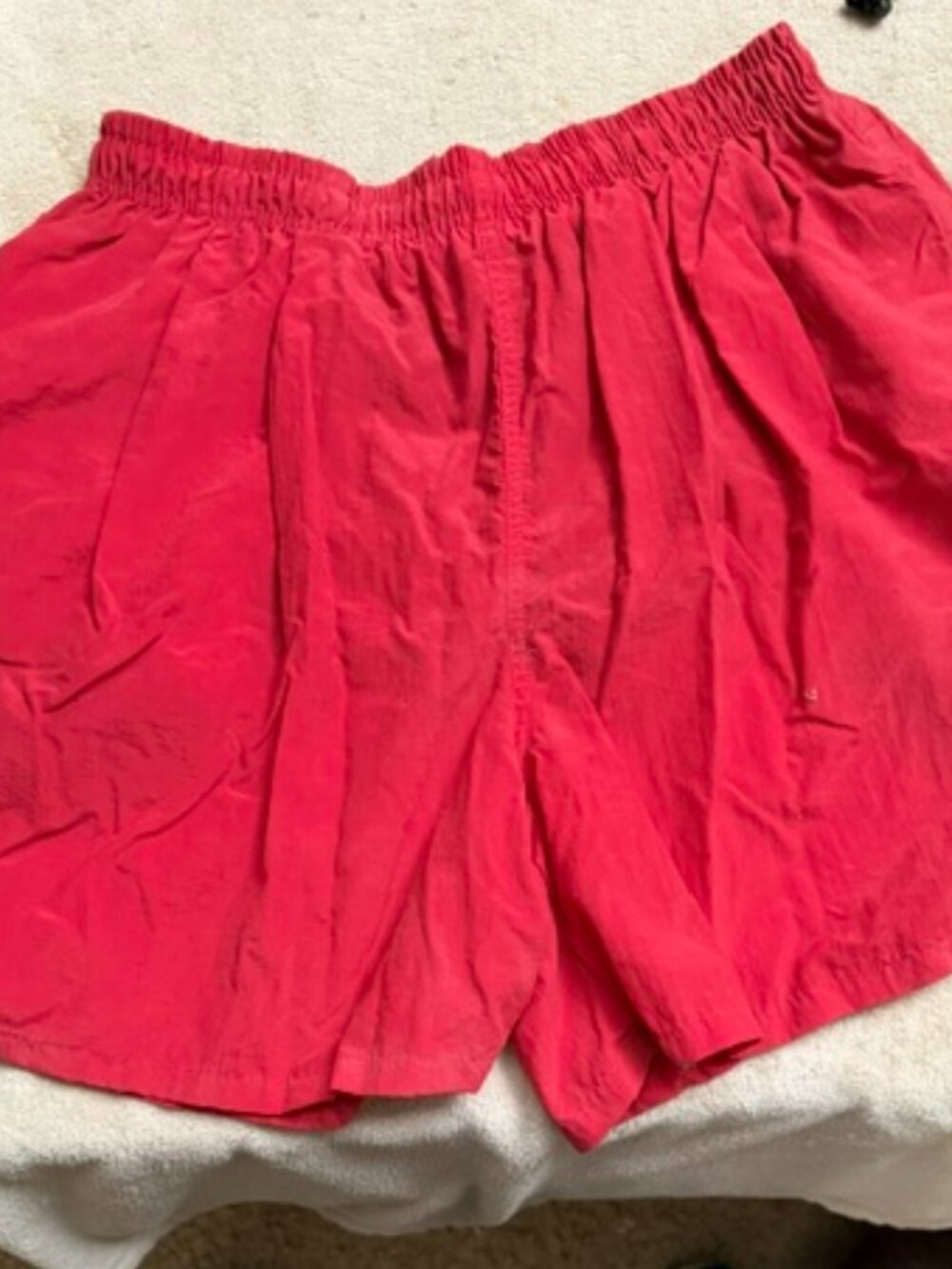 Big Dogs Swim Shorts